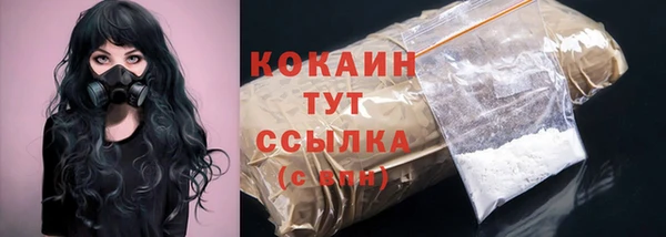 индика Сясьстрой