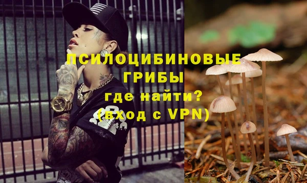 альфа пвп Остров