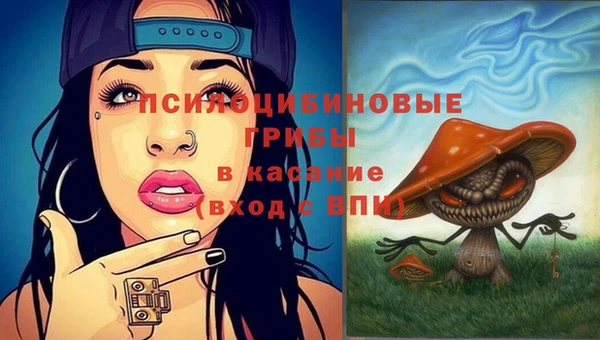 круглые Бронницы