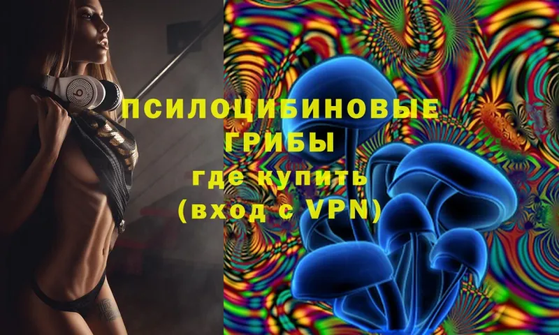 Галлюциногенные грибы GOLDEN TEACHER  Салехард 