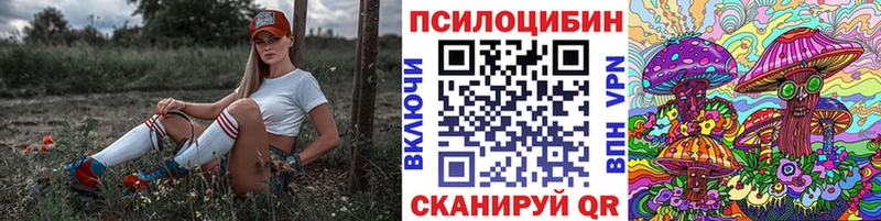 Псилоцибиновые грибы Cubensis  блэк спрут маркетплейс  Салехард 